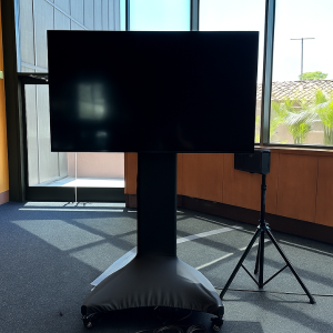 65 Inch TV Monitor Rental